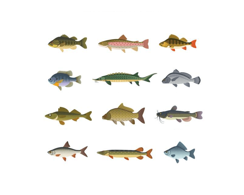 Hayabusa Trading Corp