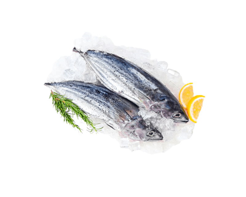 Hayabusa Trading Corp